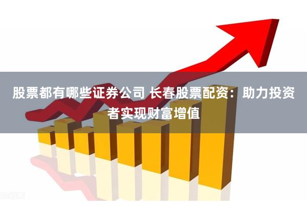 股票都有哪些证券公司 长春股票配资：助力投资者实现财富增值