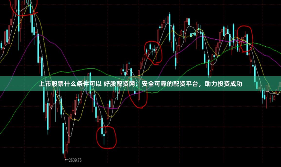 上市股票什么条件可以 好股配资网：安全可靠的配资平台，助力投资成功