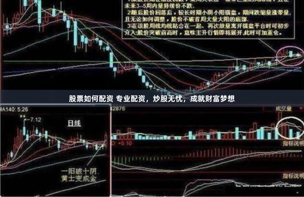 股票如何配资 专业配资，炒股无忧，成就财富梦想