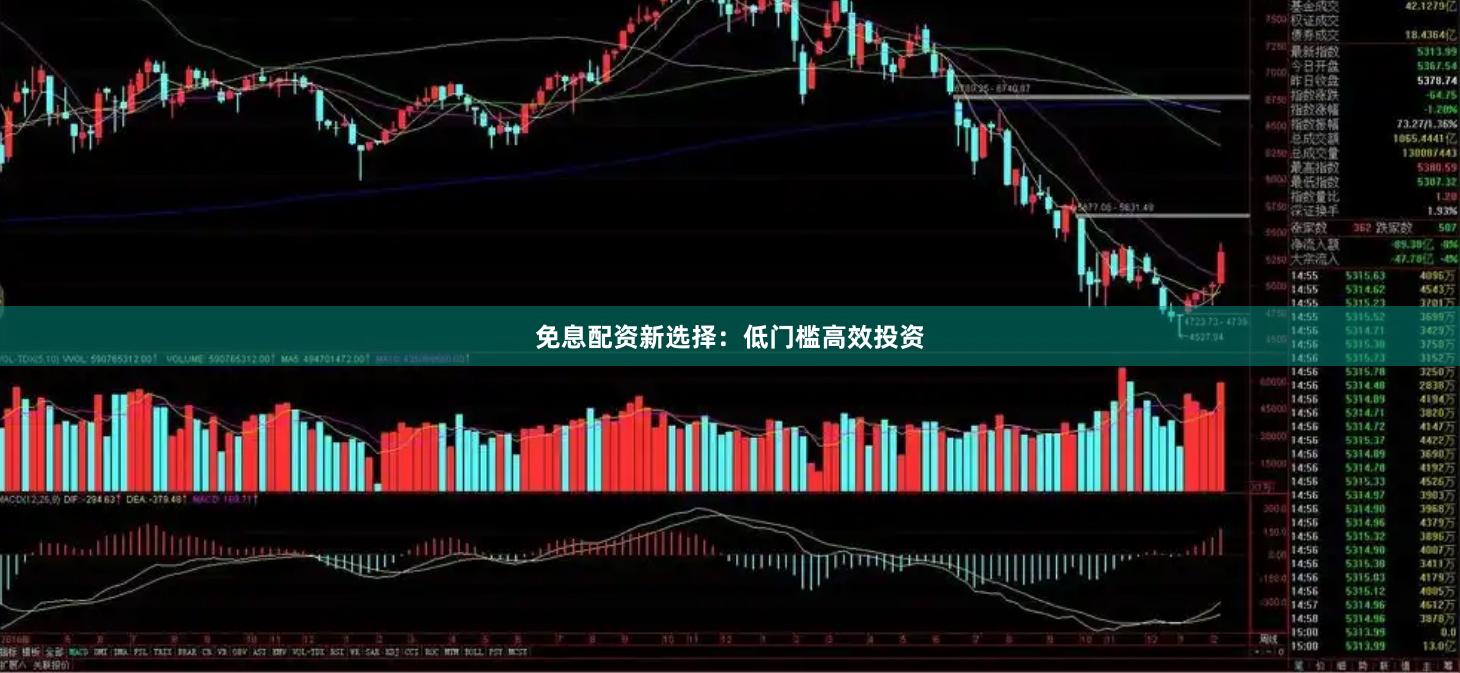 免息配资新选择：低门槛高效投资